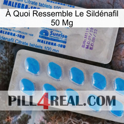 À Quoi Ressemble Le Sildénafil 50 Mg new15